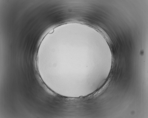 X0000116680812201001251259