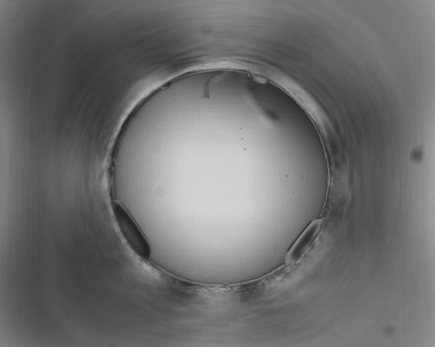 X0000116680813201001251259