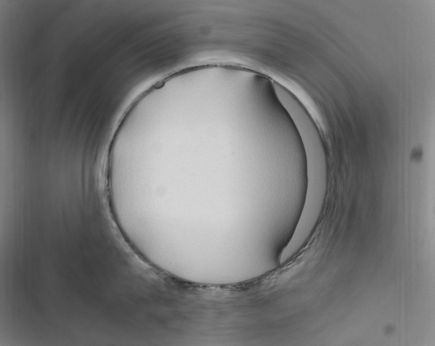 X0000116680815201001251259