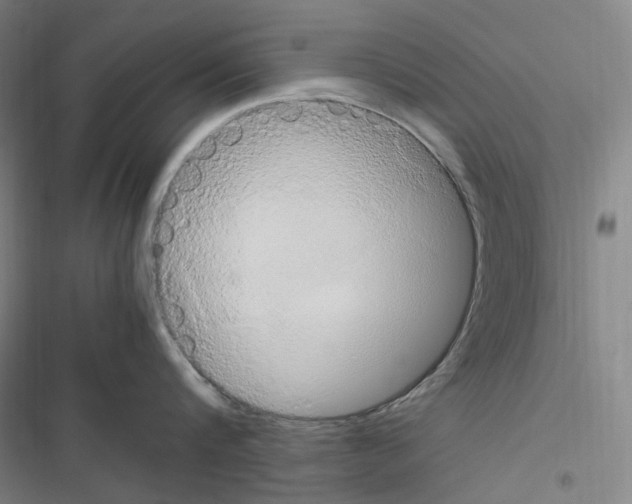 X0000116680816201001251259