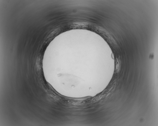 X0000116680819201001251258