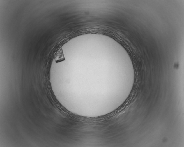 X0000116680820201001251258