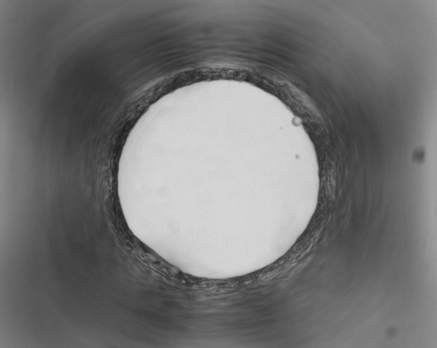 X0000116680821201001251258