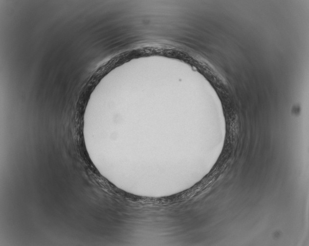 X0000116680822201001251258