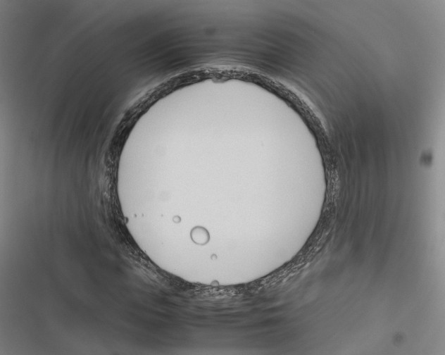 X0000116680823201001251258