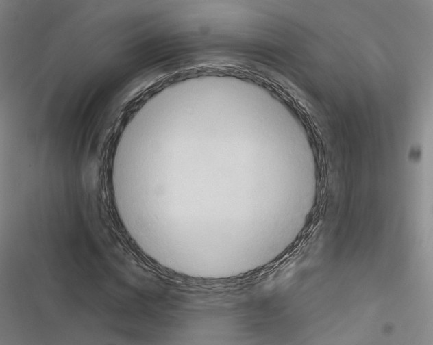 X0000116680824201001251258