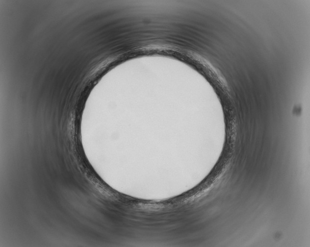 X0000116680825201001251258