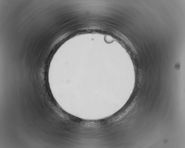 X0000116680826201001251258