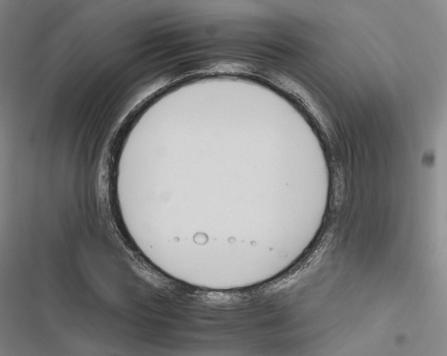 X0000116680827201001251258