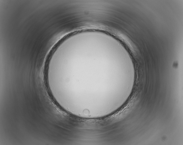 X0000116680828201001251258