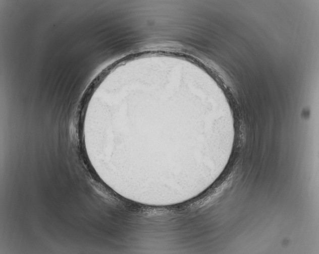 X0000116680830201001251258