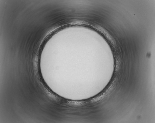 X0000116680831201001251258