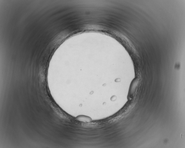 X0000116680833201001251258