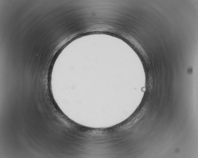 X0000116680834201001251258