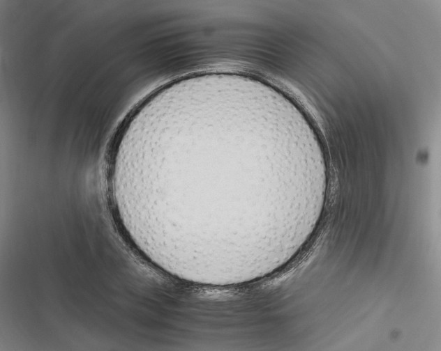 X0000116680835201001251258