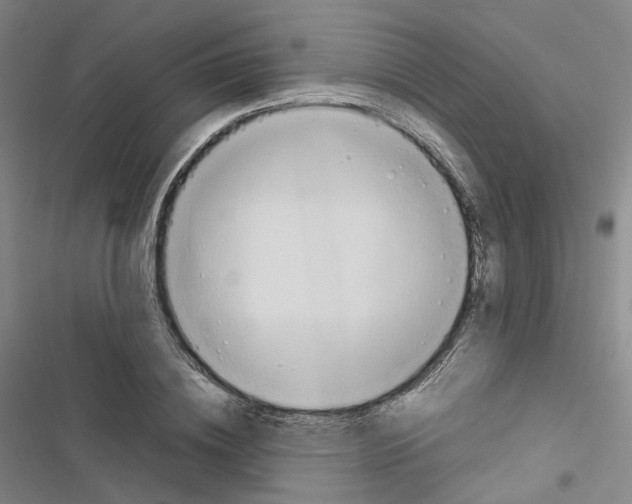 X0000116680836201001251258