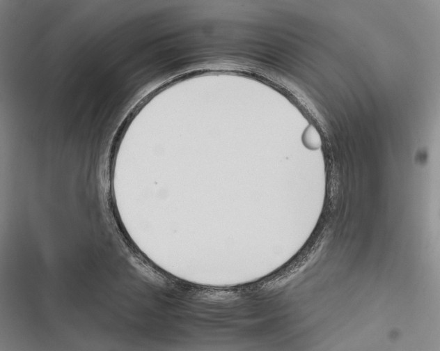 X0000116680837201001251258