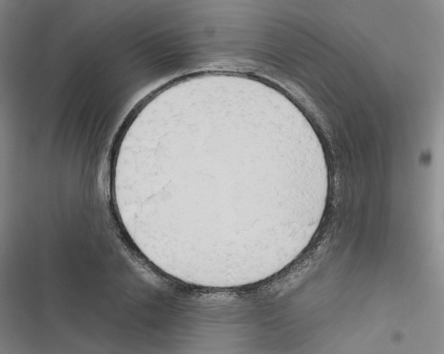 X0000116680838201001251258