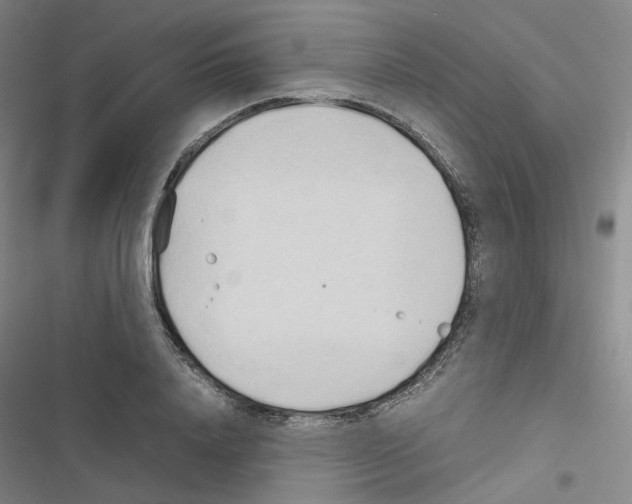 X0000116680840201001251258