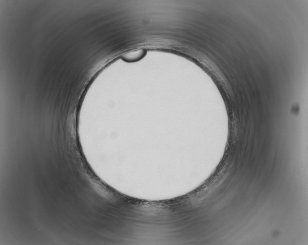 X0000116680842201001251258