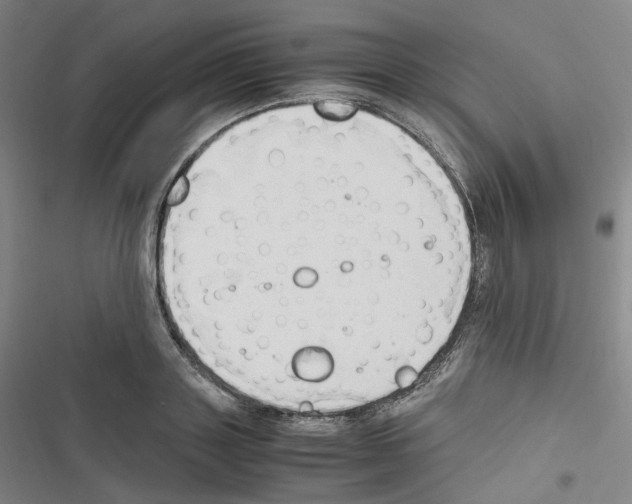 X0000116680843201001251258