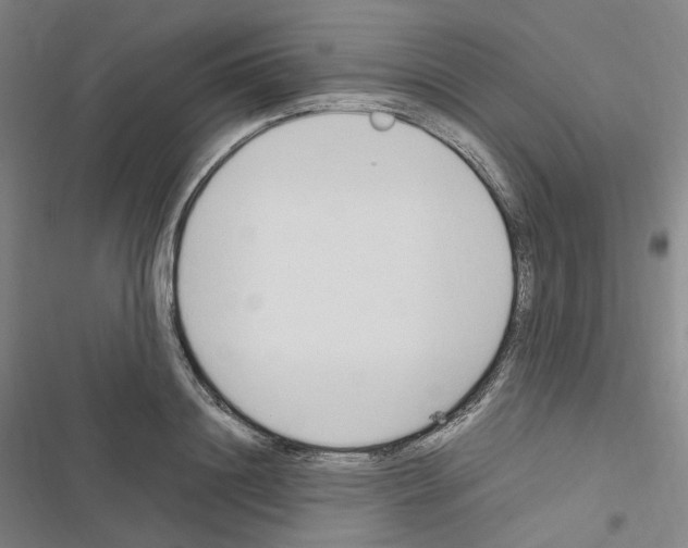 X0000116680844201001251258