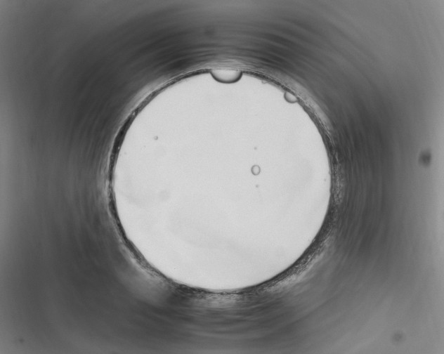 X0000116680845201001251258