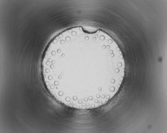 X0000116680846201001251258