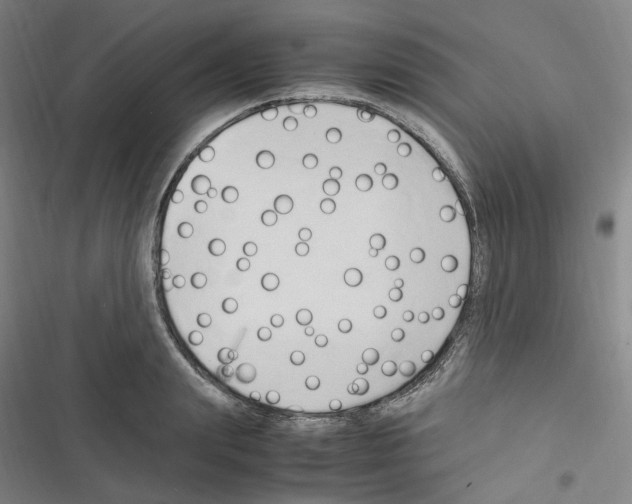 X0000116680847201001251258