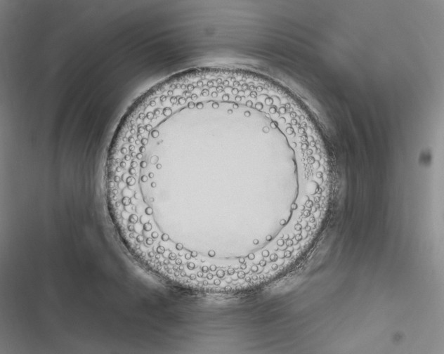 X0000116680848201001251258