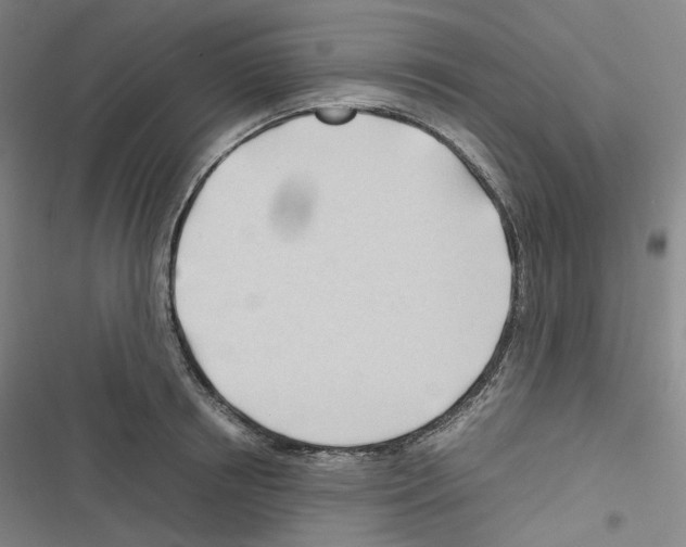 X0000116680850201001251258