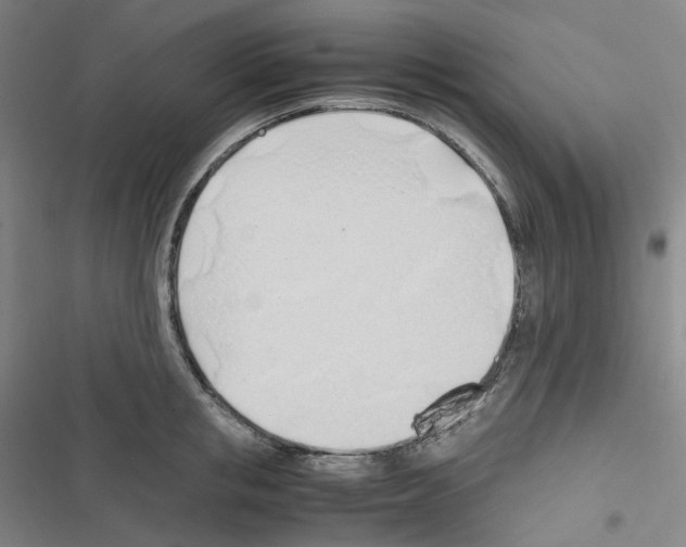 X0000116680853201001251258