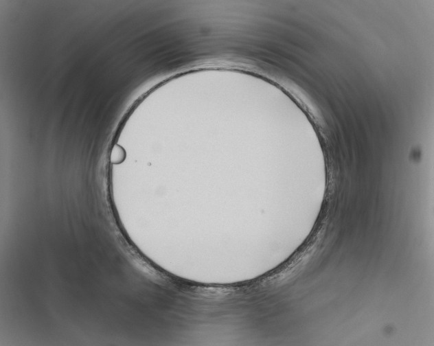 X0000116680854201001251258