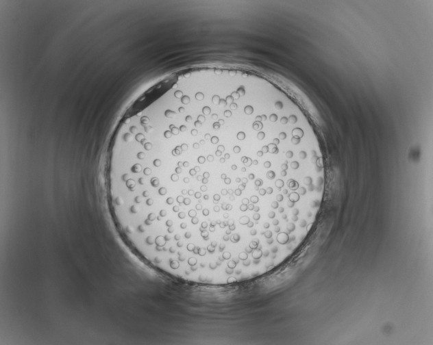 X0000116680855201001251258