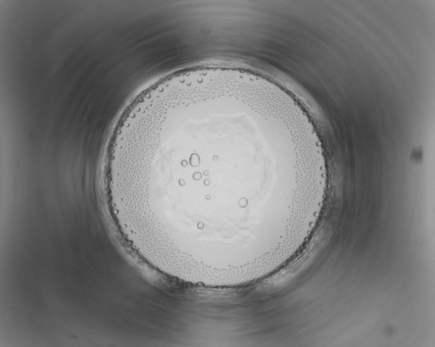 X0000116680856201001251258