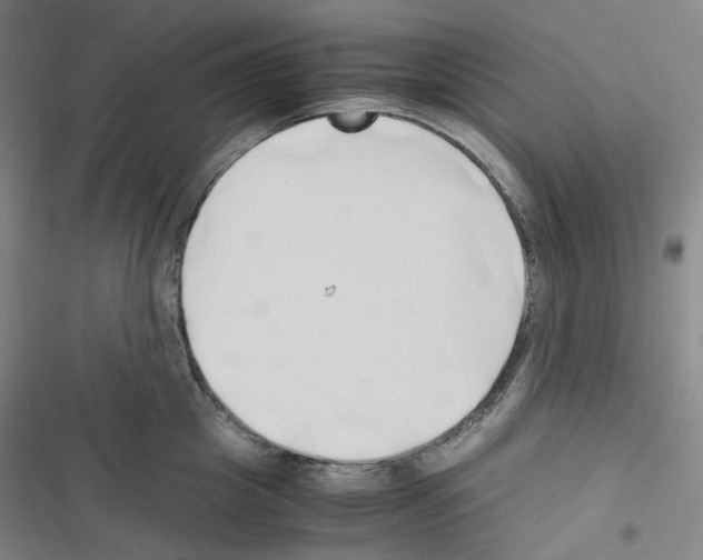 X0000116680857201001251258