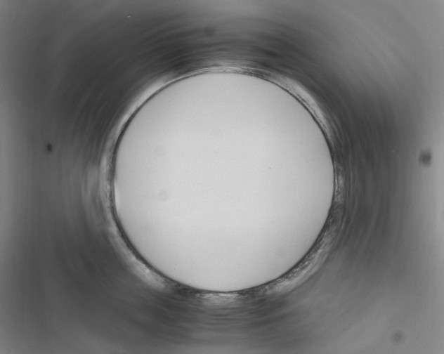 X0000116680859201001251258