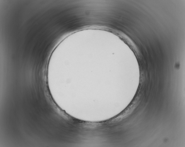 X0000116680860201001251258