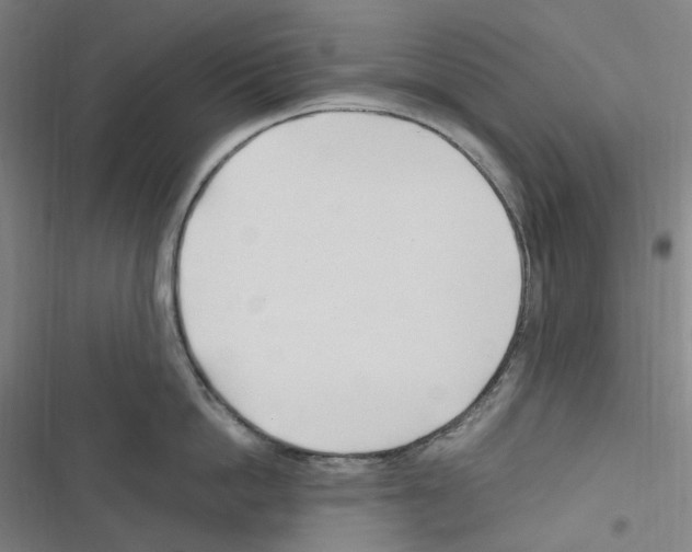 X0000116680862201001251258