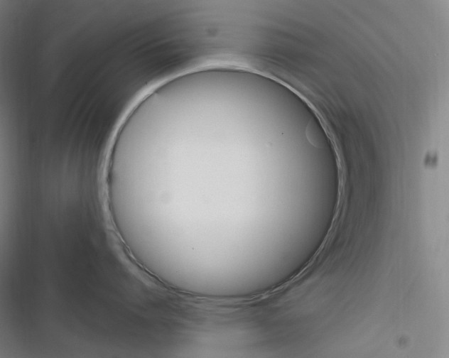 X0000116680864201001251259