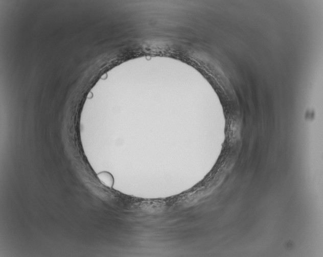 X0000116680865201001251258