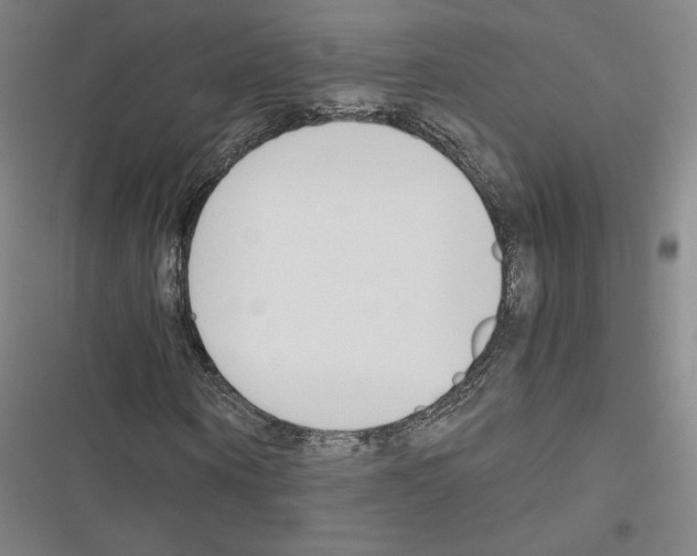 X0000116680866201001251258