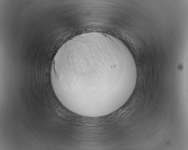 X0000116680868201001251258