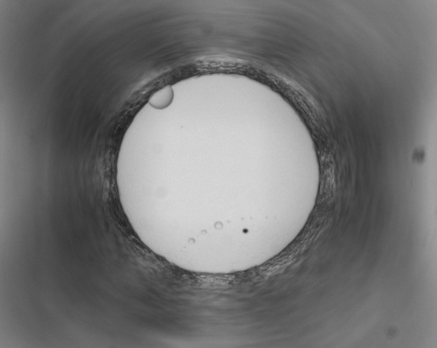 X0000116680870201001251258