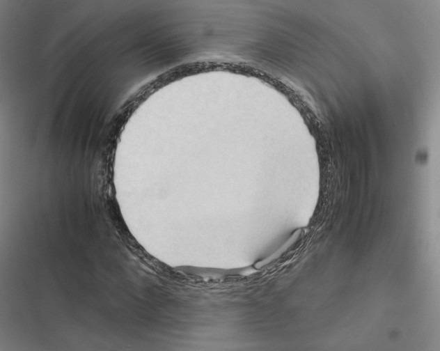 X0000116680872201001251258