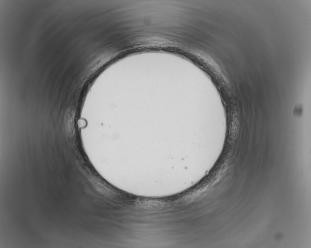 X0000116680873201001251258