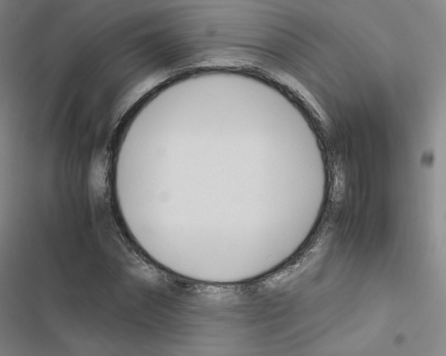 X0000116680874201001251258