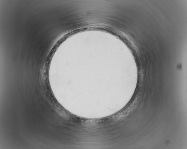 X0000116680875201001251258