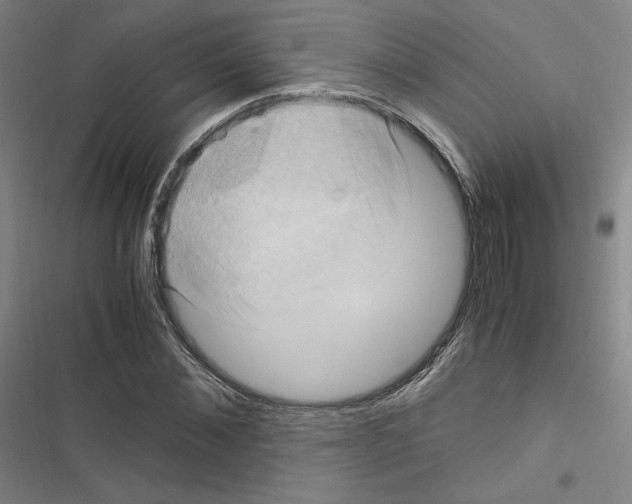 X0000116680876201001251258