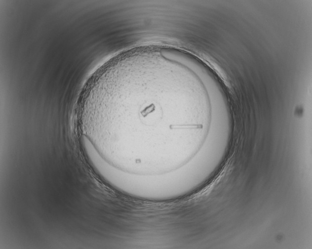 X0000116680877201001251258